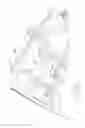 Fig. 19 - SUPPORT APPARATUS FOR A SUBJECT AND A METHOD FOR SUPPORTING A SUBJECT IN A SUBSTANTIALLY INVERTED STATE