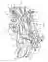 Fig. 02 - Patient support apparatus having an integrated limb compression device