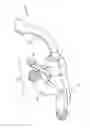 Fig. 01 - Female sexual stimulation device