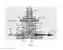 Fig. 07 - Multiple-fluid injection pump