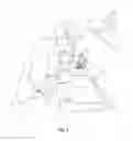 Fig. 02 - KITS AND METHODS FOR CLEANING AND REMINERALIZING TEETH