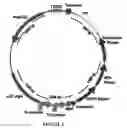 Fig. 02 - UV-RESISTANT MICROBES AND UV-BLOCKING MICROBIAL EXTRACT