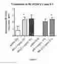 Fig. 02 - Liquid inhalation formulation comprising RPL554