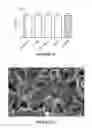 Fig. 30 - Two-stage microparticle-based therapeutic delivery system and method