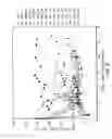 Fig. 06 - Modified alginates for cell encapsulation and cell therapy