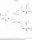 Fig. 28 - Modified alginates for cell encapsulation and cell therapy