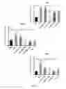 Fig. 07 - COMPOSITIONS AND METHODS FOR THE REDUCTION OR PREVENTION OF NON-ALCOHOLIC STEATOHEPATITIS (NASH)