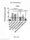 Fig. 23 - COMPOSITIONS AND METHODS FOR THE REDUCTION OR PREVENTION OF NON-ALCOHOLIC STEATOHEPATITIS (NASH)