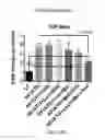 Fig. 24 - COMPOSITIONS AND METHODS FOR THE REDUCTION OR PREVENTION OF NON-ALCOHOLIC STEATOHEPATITIS (NASH)