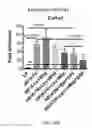 Fig. 26 - COMPOSITIONS AND METHODS FOR THE REDUCTION OR PREVENTION OF NON-ALCOHOLIC STEATOHEPATITIS (NASH)