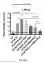 Fig. 27 - COMPOSITIONS AND METHODS FOR THE REDUCTION OR PREVENTION OF NON-ALCOHOLIC STEATOHEPATITIS (NASH)
