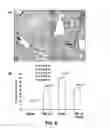 Fig. 10 - Methods of Use of Inhibitors of Phosphodiesterases and Modulators of Nitric Oxide, Reactive Oxygen Species, and Metalloproteinases in the Treatment of Peyronie's Disease, Arteriosclerosis and Other Fibrotic Diseases
