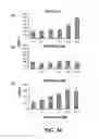 Fig. 15 - Methods of Use of Inhibitors of Phosphodiesterases and Modulators of Nitric Oxide, Reactive Oxygen Species, and Metalloproteinases in the Treatment of Peyronie's Disease, Arteriosclerosis and Other Fibrotic Diseases
