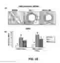 Fig. 20 - Methods of Use of Inhibitors of Phosphodiesterases and Modulators of Nitric Oxide, Reactive Oxygen Species, and Metalloproteinases in the Treatment of Peyronie's Disease, Arteriosclerosis and Other Fibrotic Diseases