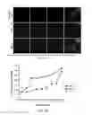 Fig. 10 - Materials and methods for targeting therapeutic compositions to gut-associated lymphoid tissue (GALT)