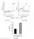 Fig. 11 - Materials and methods for targeting therapeutic compositions to gut-associated lymphoid tissue (GALT)