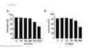 Fig. 07 - Epidithiodioxopiperazine compound or its derivatives, and the use thereof