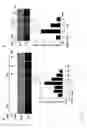 Fig. 12 - Epidithiodioxopiperazine compound or its derivatives, and the use thereof