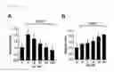 Fig. 22 - Epidithiodioxopiperazine compound or its derivatives, and the use thereof