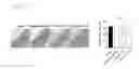 Fig. 27 - Epidithiodioxopiperazine compound or its derivatives, and the use thereof