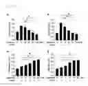 Fig. 32 - Epidithiodioxopiperazine compound or its derivatives, and the use thereof