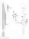 Fig. 43 - Epidithiodioxopiperazine compound or its derivatives, and the use thereof