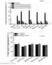 Fig. 02 - COMPOSITIONS AND METHODS TO TREAT AND/OR PREVENT VISION DISORDERS OF THE LENS OF THE EYE