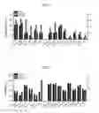 Fig. 04 - COMPOSITIONS AND METHODS TO TREAT AND/OR PREVENT VISION DISORDERS OF THE LENS OF THE EYE
