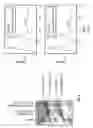 Fig. 05 - Antibody-siRNA conjugates and uses therefor