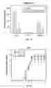 Fig. 08 - Antibody-siRNA conjugates and uses therefor