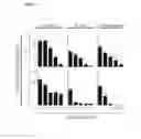 Fig. 08 - Positively charged co-polymers for use as antimicrobial agents