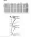 Fig. 09 - Positively charged co-polymers for use as antimicrobial agents