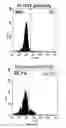 Fig. 13 - COMPOSITIONS AND METHODS FOR TREATING B-LYMPHOID MALIGNANCIES