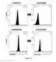 Fig. 14 - COMPOSITIONS AND METHODS FOR TREATING B-LYMPHOID MALIGNANCIES