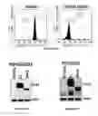 Fig. 37 - COMPOSITIONS AND METHODS FOR TREATING B-LYMPHOID MALIGNANCIES