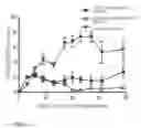 Fig. 03 - Cell therapy composition for preventing or treating immune disease comprising mesenchymal stem cells and immunoregulatory t-cells as active ingredient