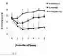 Fig. 06 - Cell therapy composition for preventing or treating immune disease comprising mesenchymal stem cells and immunoregulatory t-cells as active ingredient