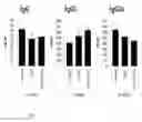 Fig. 08 - Cell therapy composition for preventing or treating immune disease comprising mesenchymal stem cells and immunoregulatory t-cells as active ingredient