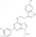 Fig. 148 - COMPOUNDS THAT EXPAND HEMATOPOIETIC STEM CELLS