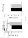 Fig. 44 - Cardiac progenitor cells and methods of use therefor