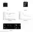 Fig. 05 - Regeneration of Inner Ear Cells