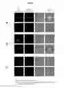 Fig. 13 - Vaccines against serotype 8