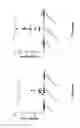 Fig. 03 - Methods for enhancing efficacy of a vaccine by administering an IL-4R antagonist