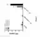 Fig. 08 - Methods for enhancing efficacy of a vaccine by administering an IL-4R antagonist
