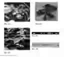 Fig. 04 - METHODS AND COMPOSITIONS TO PRODUCE VACCINES AGAINST SMALLPOX IN PLANTS