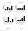 Fig. 04 - COMPOSITIONS AND METHODS RELATED TO NEUROLOGICAL DISORDERS