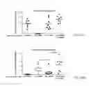 Fig. 53 - COMPOSITIONS AND METHODS RELATED TO NEUROLOGICAL DISORDERS