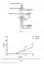 Fig. 02 - Pharmaceutical or cosmetic compositions comprising a polymer and an absorption promoter for controlled release of active ingredients