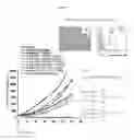 Fig. 23 - ANTI-B7-H4 ANTIBODIES AND IMMUNOCONJUGATES