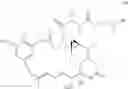 Fig. 04 - ANTI-FOLR1 IMMUNOCONJUGATE DOSING REGIMENS